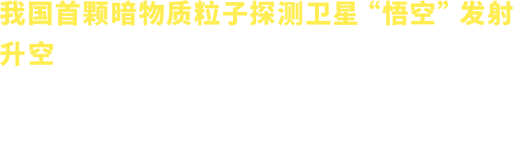2015年文字
