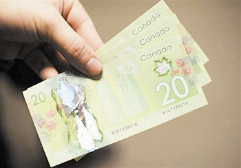 ֲ��ѧ�ҳƼ��ô��°泮Ʊӡ����Ҷ����Ų����Ҷ