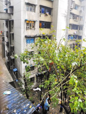 ��С͵���ҵ��Ա�ץ���� һ��׹¥һ�˱�׽(ͼ)