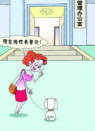 �����޶����������취ʮ�ꡰ�����������