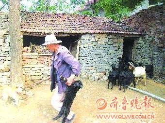 ���ӷ���ǽ��͵�����ֻ�永��ֵʮ����ͼ��