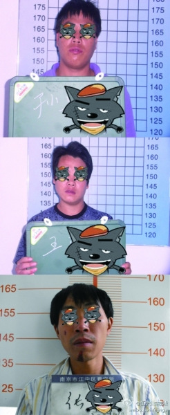 ��������΢����������Ƭ��̫�����۱�����ת��