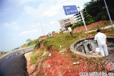 Ҷͦ����������ƻ���:ר�ҽ������������ֵ