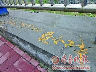 ���н�ͷ�֡���С��������к�6��Ů��3��ͼ��