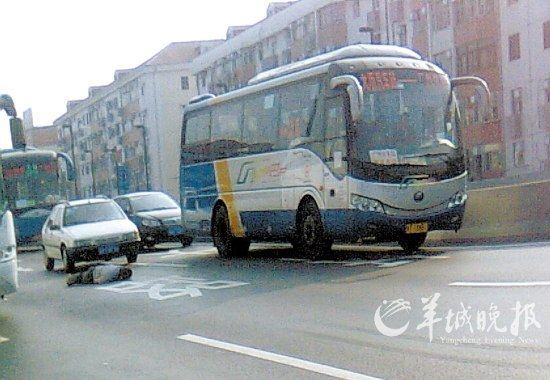 ����ͻȻ������·��·��С��ͣ�������䲻����