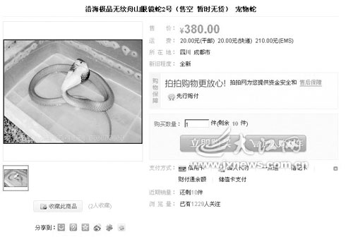 十余种剧毒“宠物毒蛇”网上热销曝监管漏洞(图)
