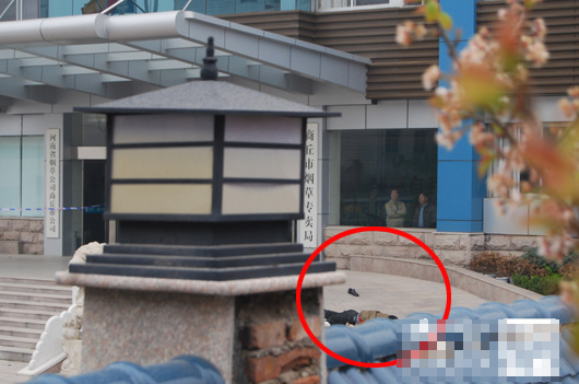 河南商丘烟草局长在单位坠楼身亡原因不详(图)