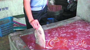 黑作坊用工业盐腌制不明死鱼一年卖掉4万斤（图）