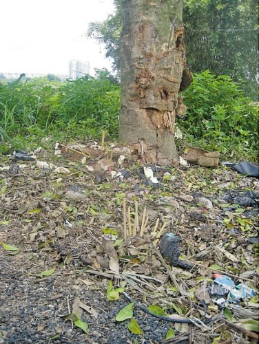 ��ί�������4�˱�ײ�����ٷ���Ӧ������������