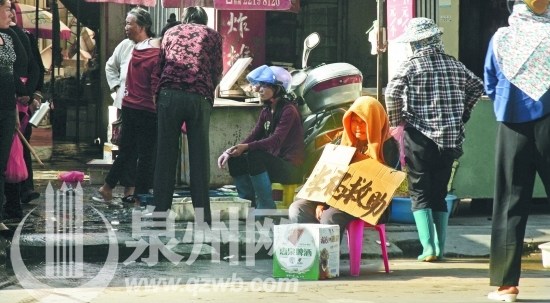 儿子开车撞死人62岁残疾老母上街乞讨筹赔款