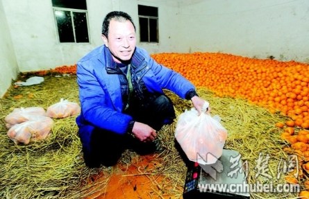 武汉28名农民工薪酬难领人均摊派销售万斤柑橘