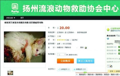 曝淘宝有“动物保护”网店骗捐款警方介入调查