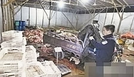 政府雇员以权谋私福建近40吨病死猪肉流向全国