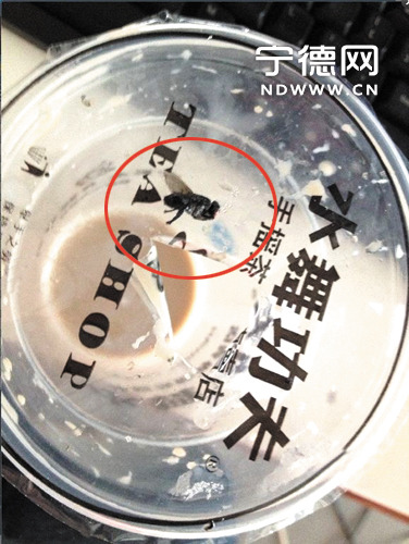 市民奶茶中喝出死苍蝇经由工商调解得免单(图)