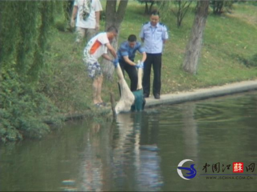 南京阅江楼护城河发现漂浮女尸死因不详(组图)