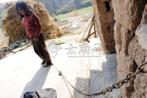 ������Ů���Ż�ټ�Ů�ӱ��ɷ���������11�꣨ͼ��