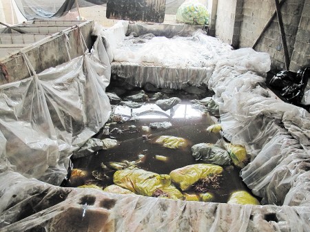 非法添加防腐剂超700多倍蕨菜干笋7个月不腐烂(图)