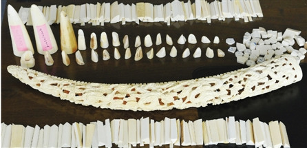 �����ʼİ�����˽�����������Ʒ���̰��꣨ͼ��