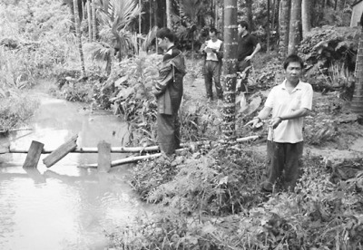 弟弟为琐事杀哥哥埋尸槟榔园企图瞒天过海(图)