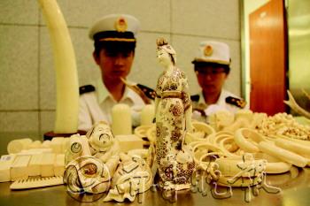 ��ͤ�������ؽ�����4157����˽��Σ��ֲ����Ʒ