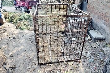两男子肇事遭受害人家属关狗笼26天被逼喝尿