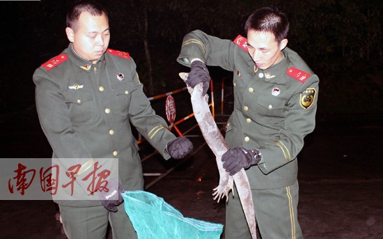 �������Ǹ۱߷����������94��������200����