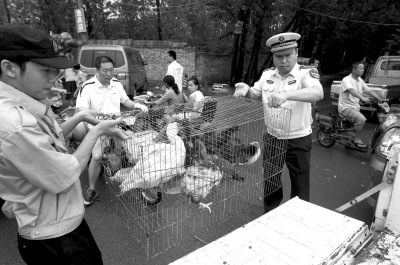 ���������ֳ���ɱ��������̯�㱻�飨ͼ��