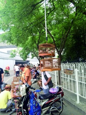 ̯����·��̯����Ұ���񹫰���20ֻ���Ͽ�����