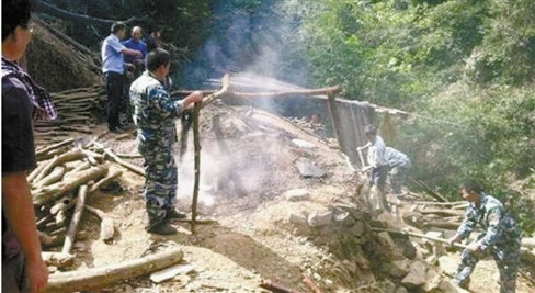 ����ɭ�־������ٷǷ�ľ̿Ҥû��ľ̿3ǧ���