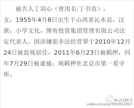 丁羽心案判决摘要公布:有偿运作帮23家企业中标