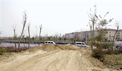 ֣�ݳɶ�������͵͵�㵹����̬�ȵ���ͼ��