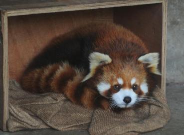 �컨����Ѫˮǣ��Ұ�����ﷷ�����ֵ����Ҫ����