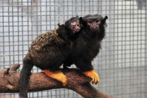 ����԰�ȴ��������6�����ࡰ����ϲ����