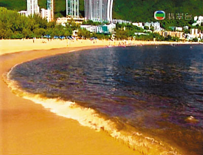 �쳱Ϯ�۹���16Ӿ̲���������粿��С�����