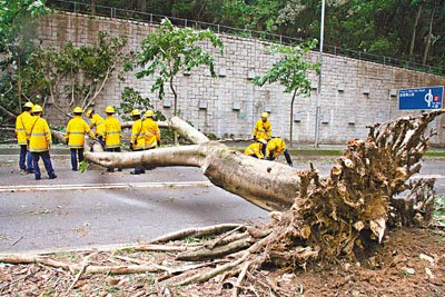 ̨�������29�շ���433�ڵ���������25������