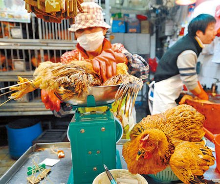 香港批发市场现死鸡且未呈报有关部门追查来源