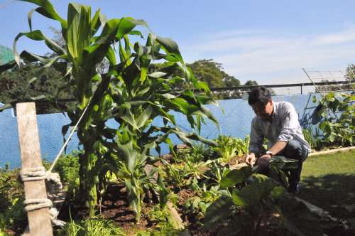 点图查看下一页