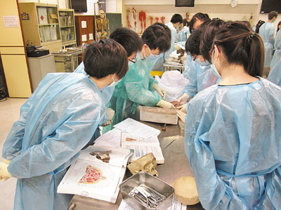 �����ѧ��ҽ��ѧ���������١�ʬ��������ʧ��