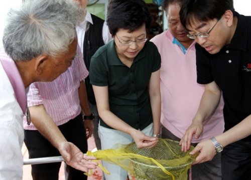 林郑月娥:聚丙烯胶粒事件究责到底三方面跟进