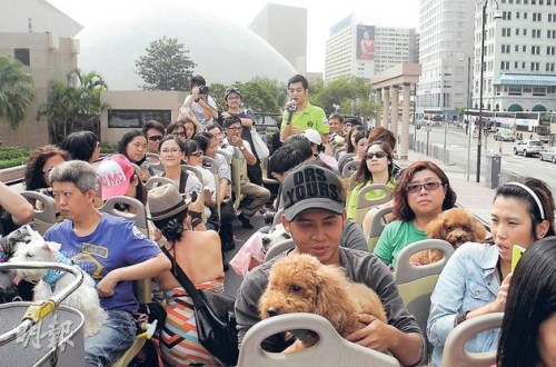 港动物团体倡设假日宠物专线50人偕爱犬搭巴士