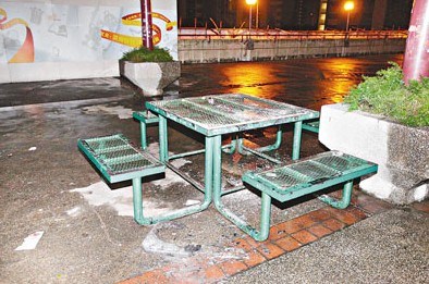 香港5名童党纵火焚毁公园设施遭警方追缉(图)