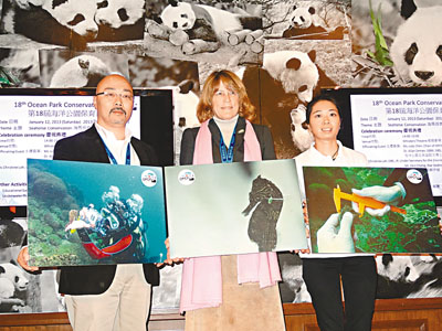 ��ۺ�԰��ǩ������������һ��׷�ٲ���������