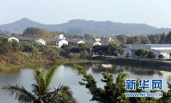 内地供港食品是怎样炼成的?养鸡场就像生态公园