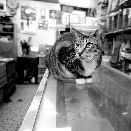 点图查看下一页