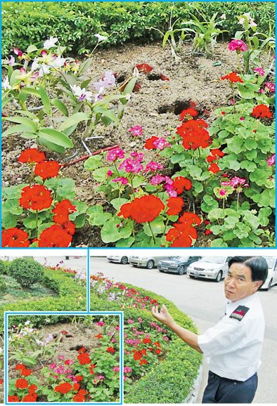 ��ۻ�չ���⻨ʯ��������������Ϊ͵��ת��