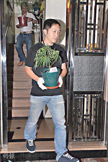 点图查看下一页
