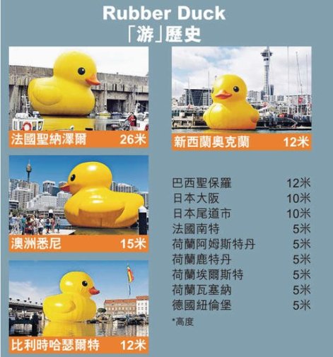 黄色橡皮鸭终于“游”到香港全城追鸭