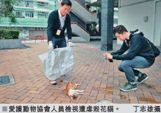 点图查看下一页