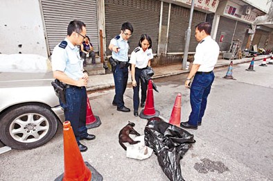 ��è����Űɱ��Ѫ�Ͻŵ�����۽�ͷ��ͼ��