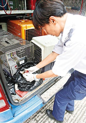 ������Űè�¼�2ֻСè�����˲ȱ�ͷ������ͼ��